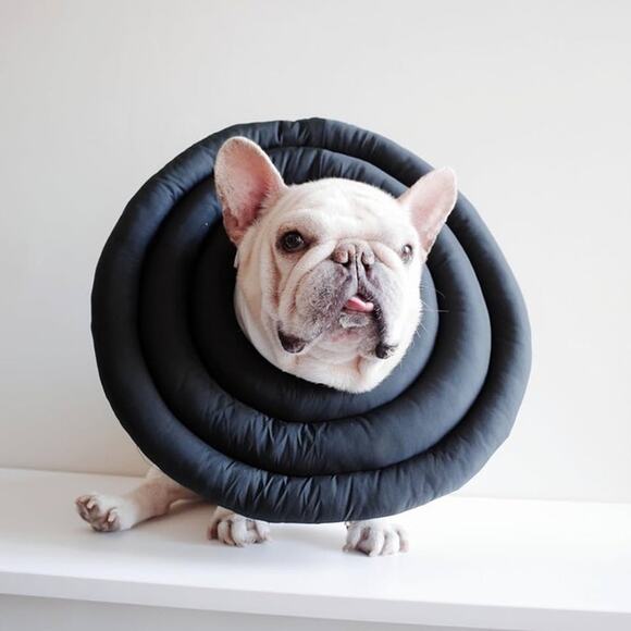 Dog Cat Soft Cone Collar NEW - Picture 1 of 9